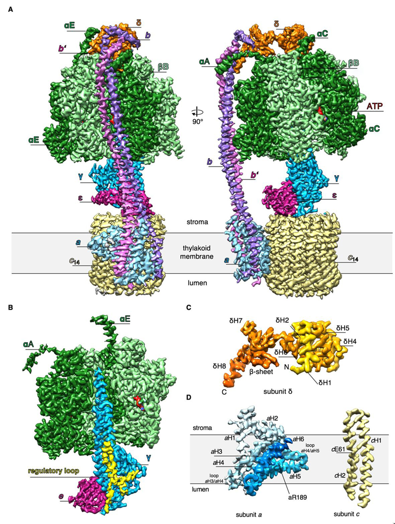 Fig. 1