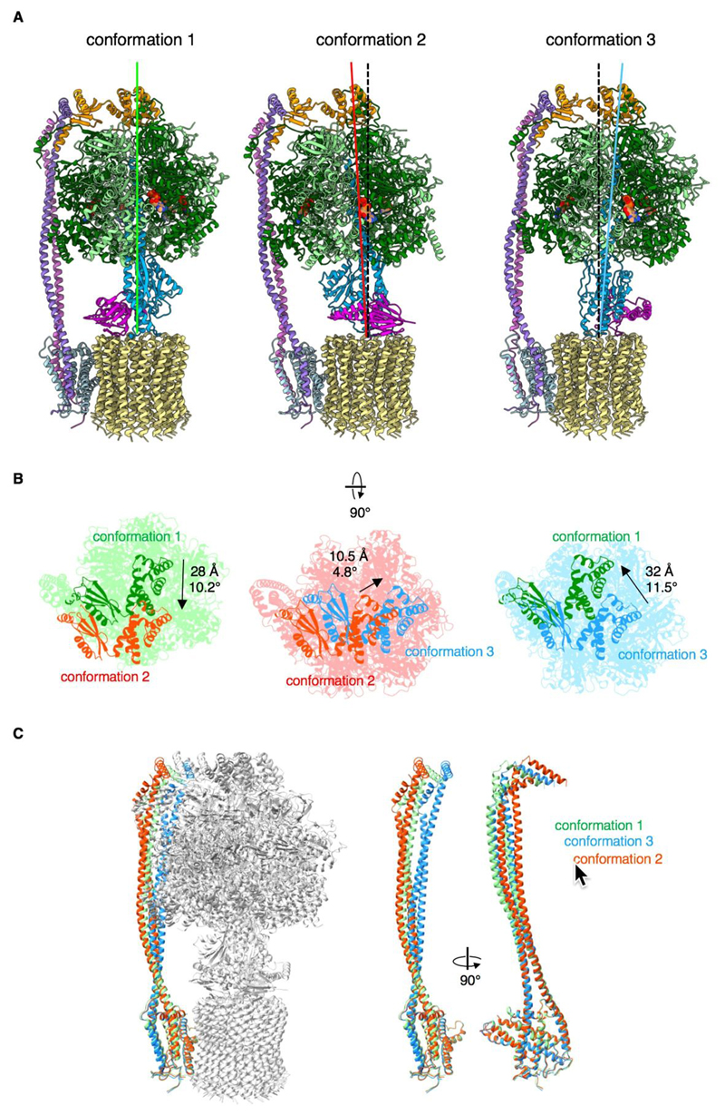 Fig. 2