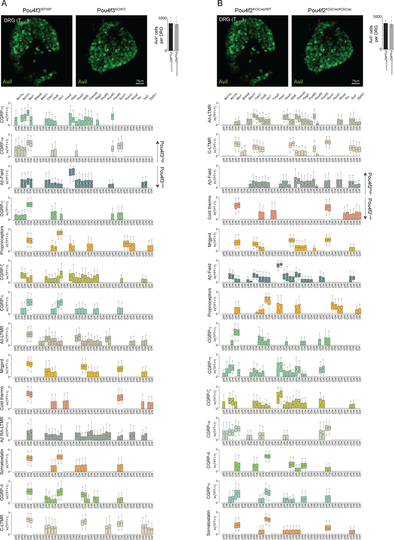 Extended Data Figure 7.