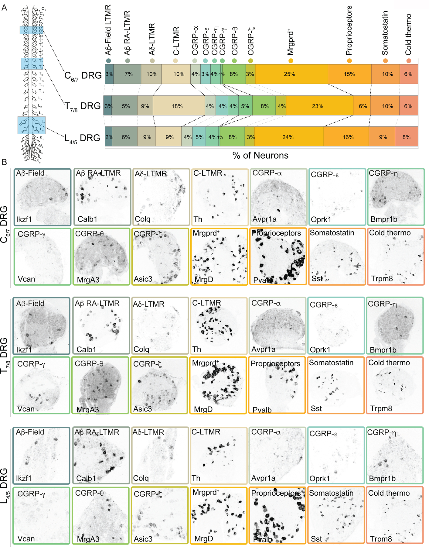 Extended Data Figure 2.