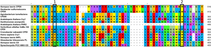 Fig. 3