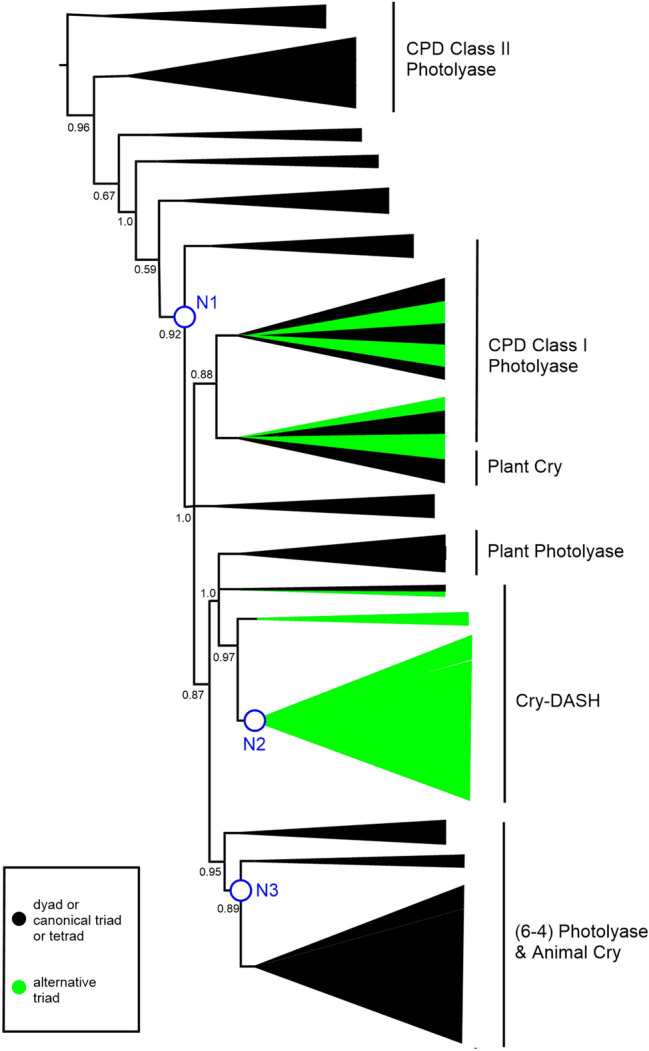 Fig. 7