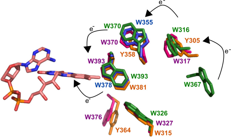 Fig. 8