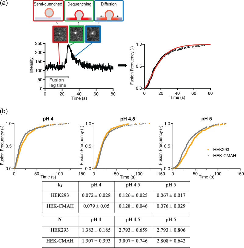 FIG 6