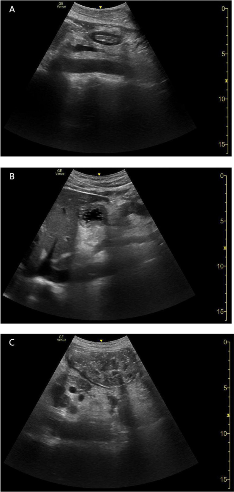 Fig. 2