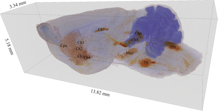 Fig. 2