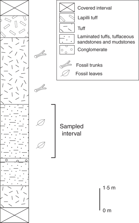 Fig. 2.