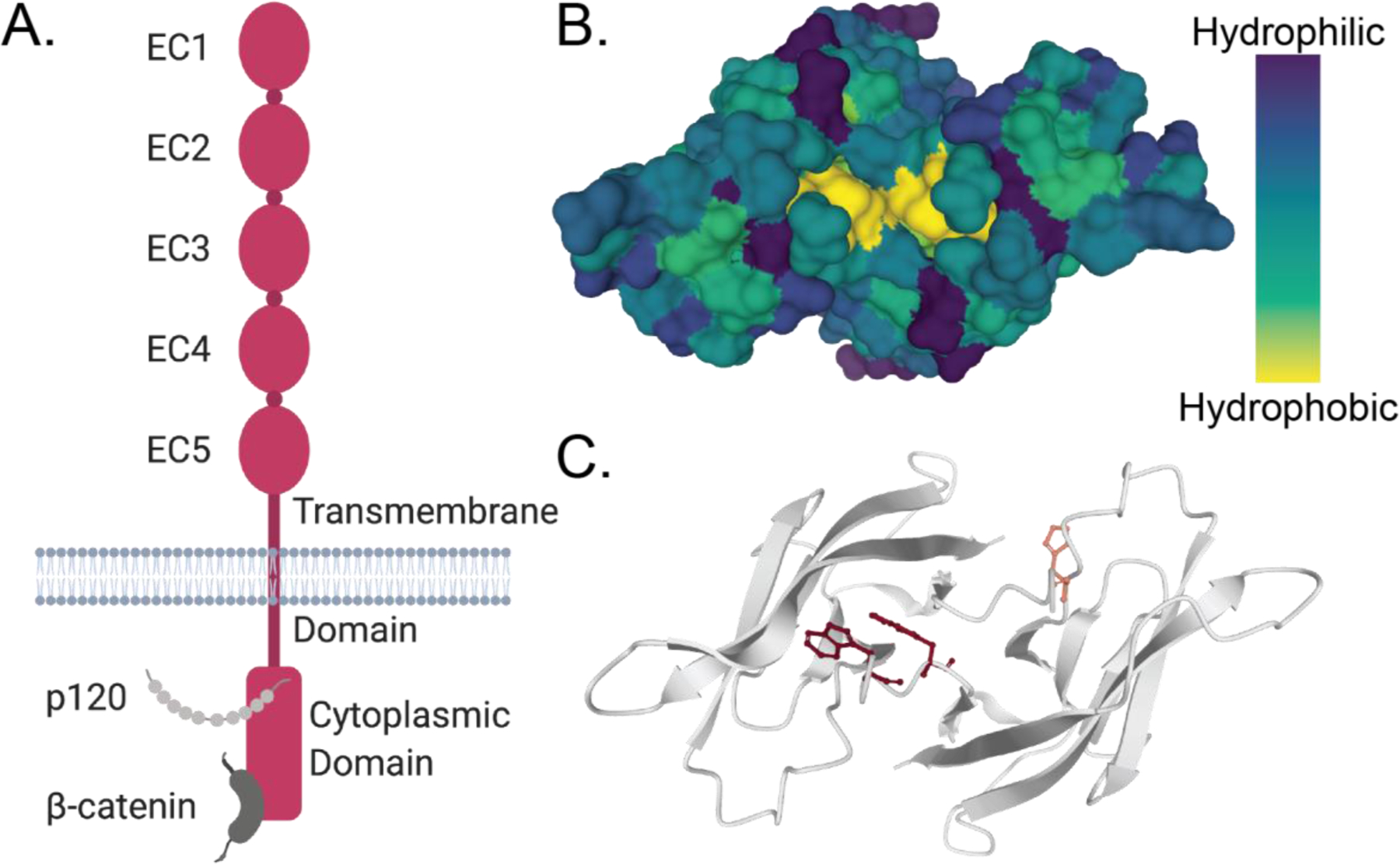 Figure 3: