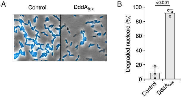 Figure 3—figure supplement 3.