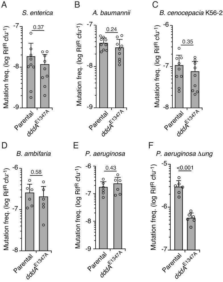 Figure 4—figure supplement 1.