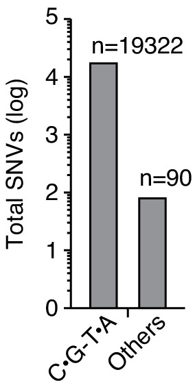 Figure 3—figure supplement 2.