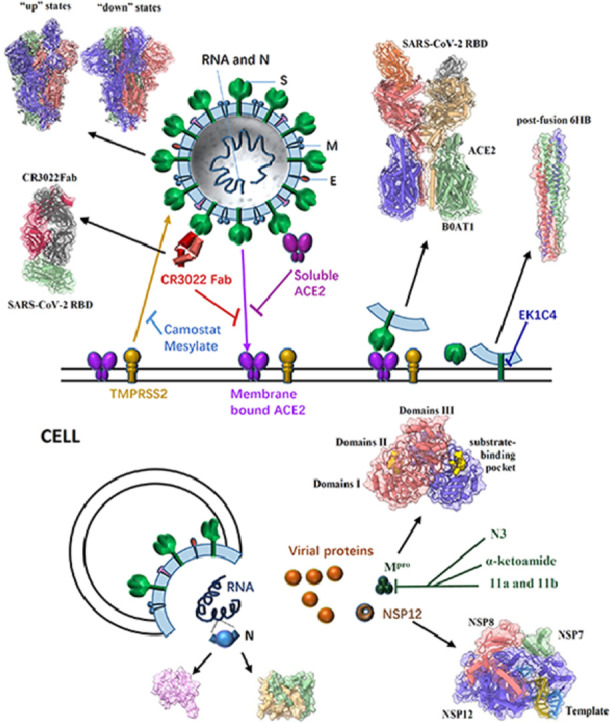 Image, graphical abstract