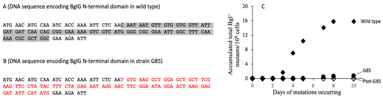 Figure 5