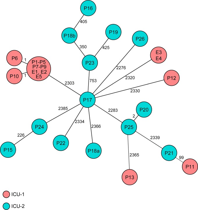 FIG 2