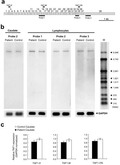 Figure  2. 