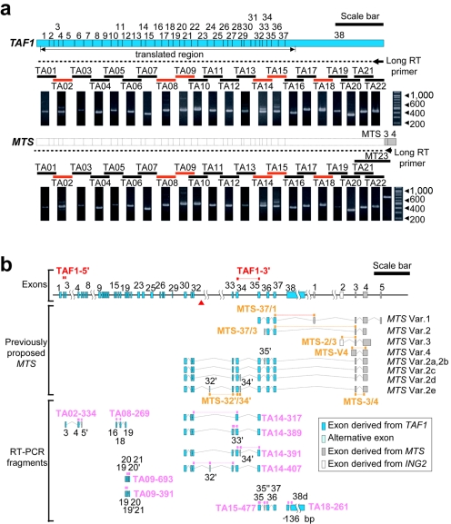 Figure  4. 