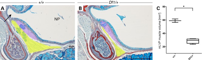 Figure 6.