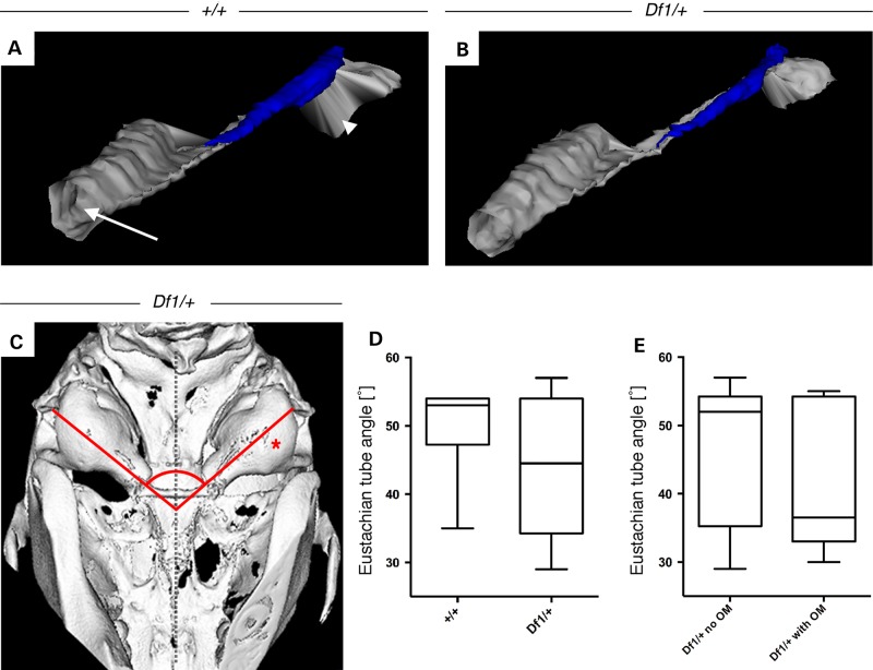 Figure 2.