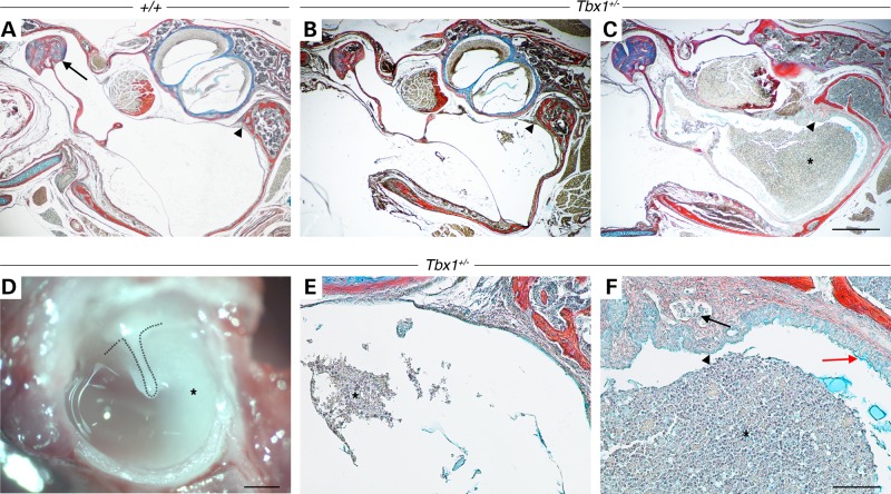 Figure 1.