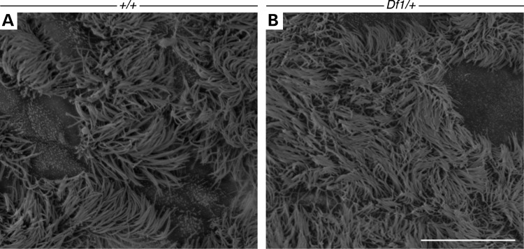 Figure 3.