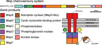 Fig. 5