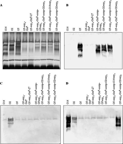 FIG. 6.