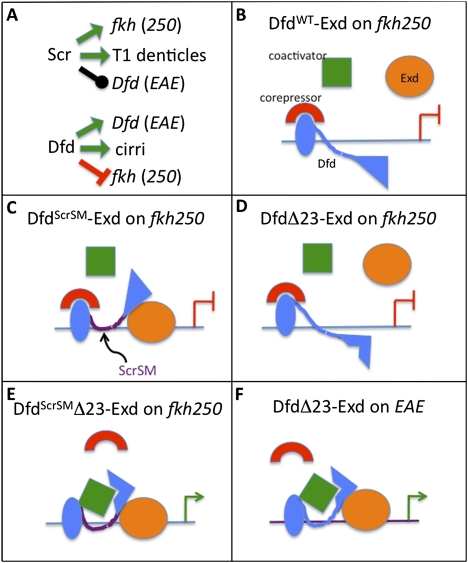 Figure 7.