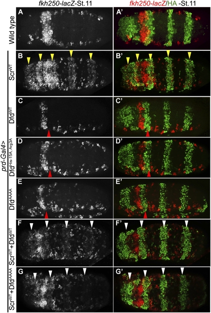 Figure 4.