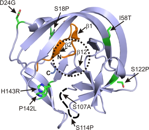 FIGURE 4.