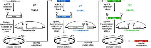 FIGURE 1.