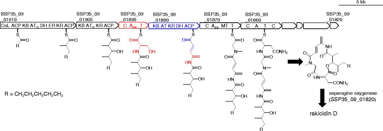 Fig. 3