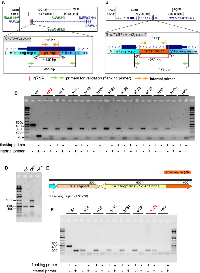 Figure 6.