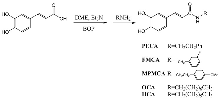 Scheme 1