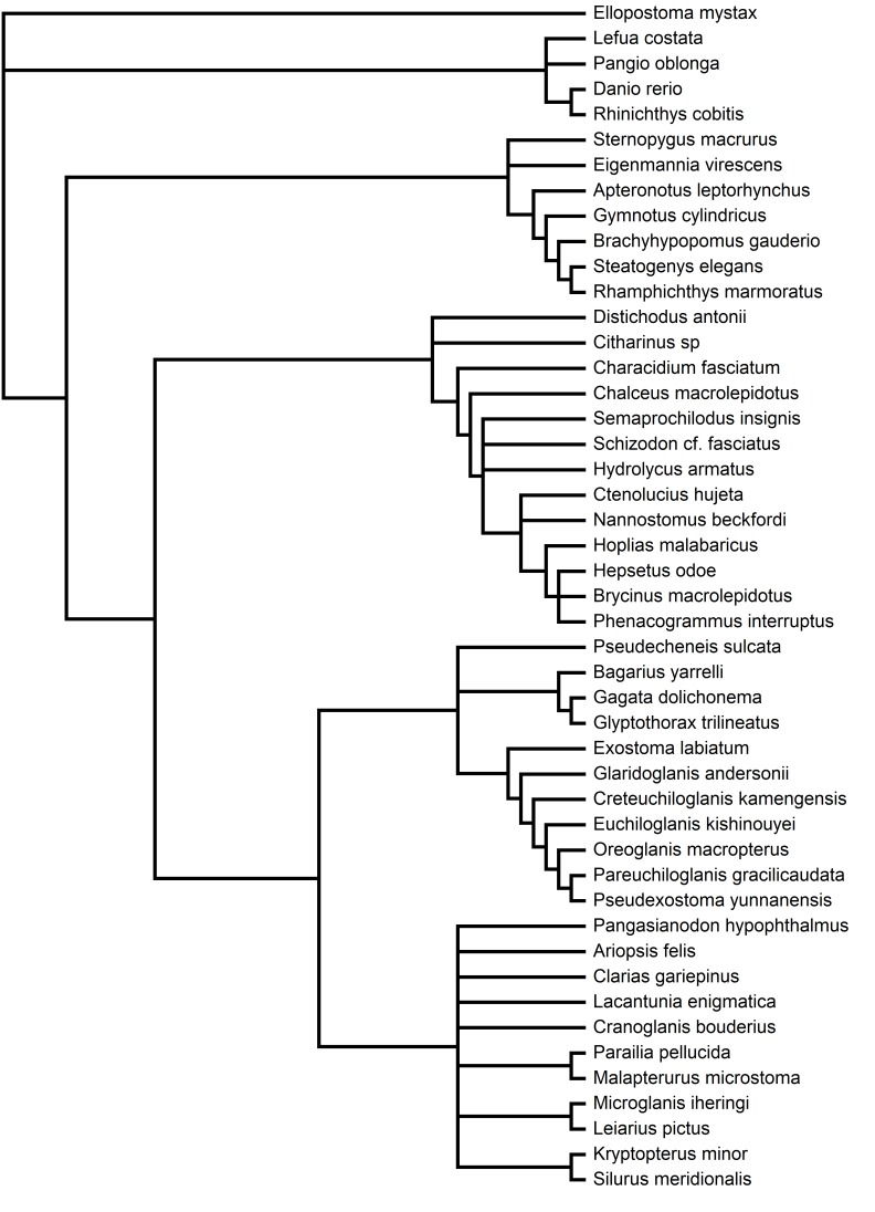 Figure 2—figure supplement 1.