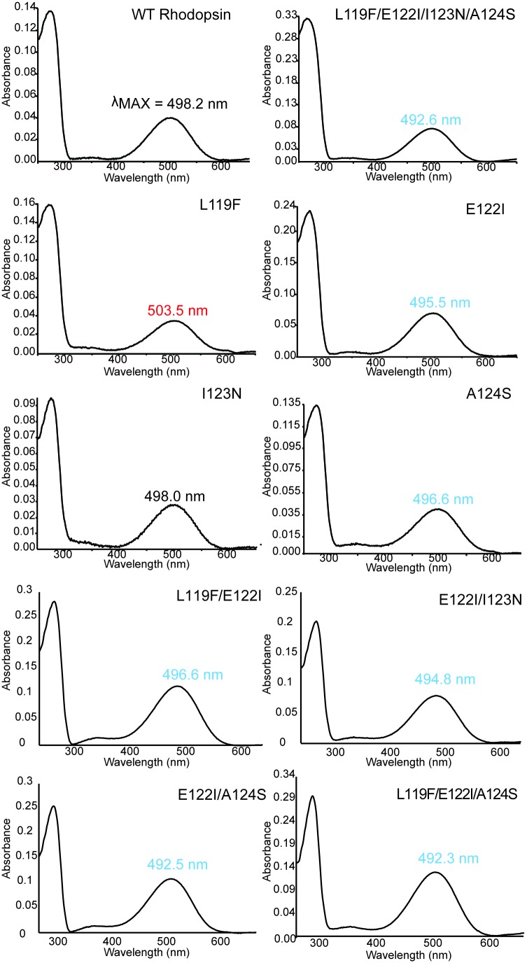 Figure 4—figure supplement 1.