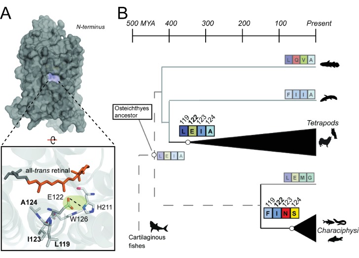 Figure 3.