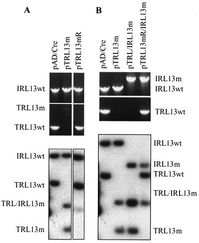 FIG. 5.