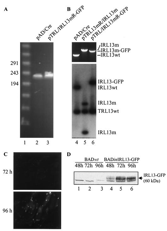 FIG. 9.