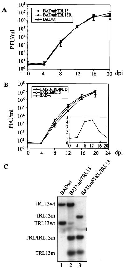 FIG. 6.