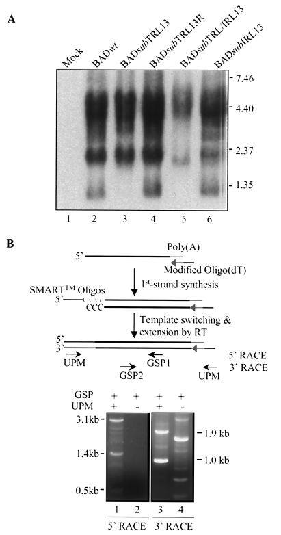 FIG. 7.