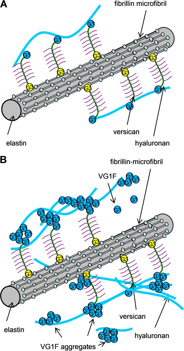 FIGURE 10.