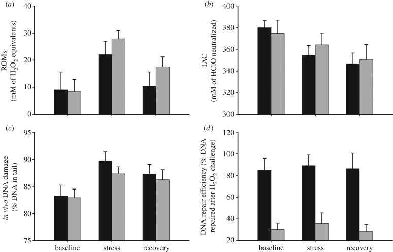 Figure 1.