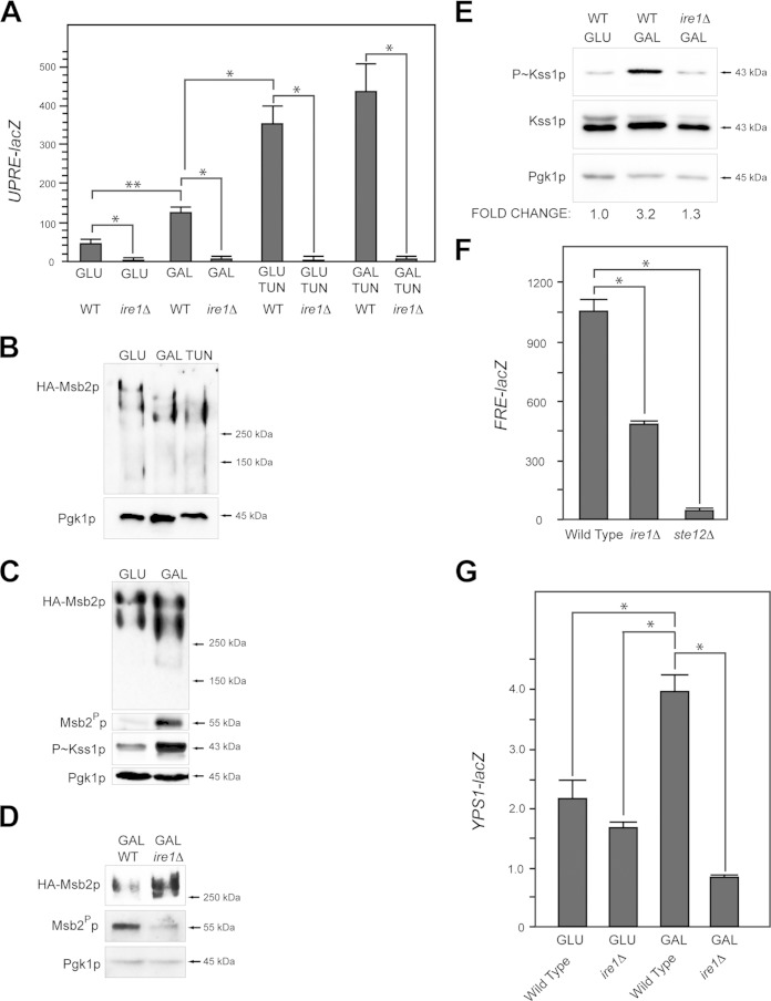 FIG 3