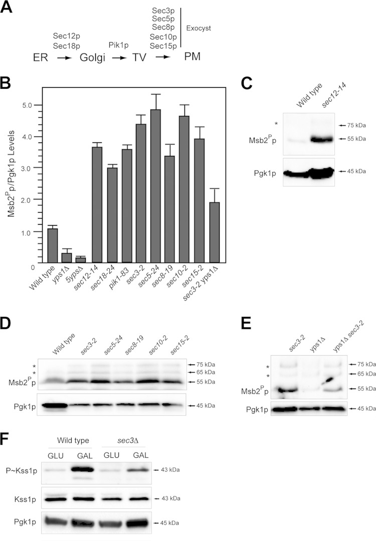 FIG 6