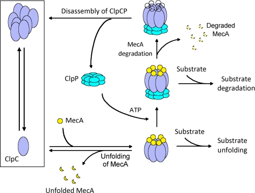 FIGURE 7.