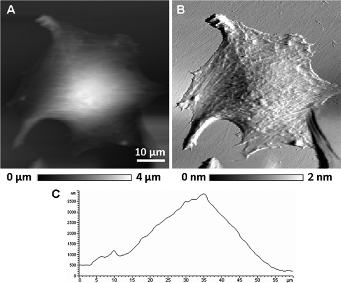 FIGURE 3.