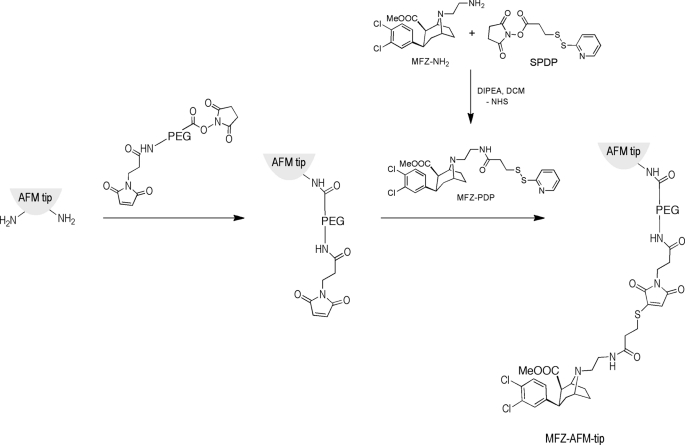 FIGURE 1.