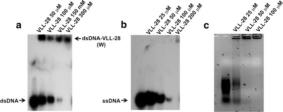 Fig. 4