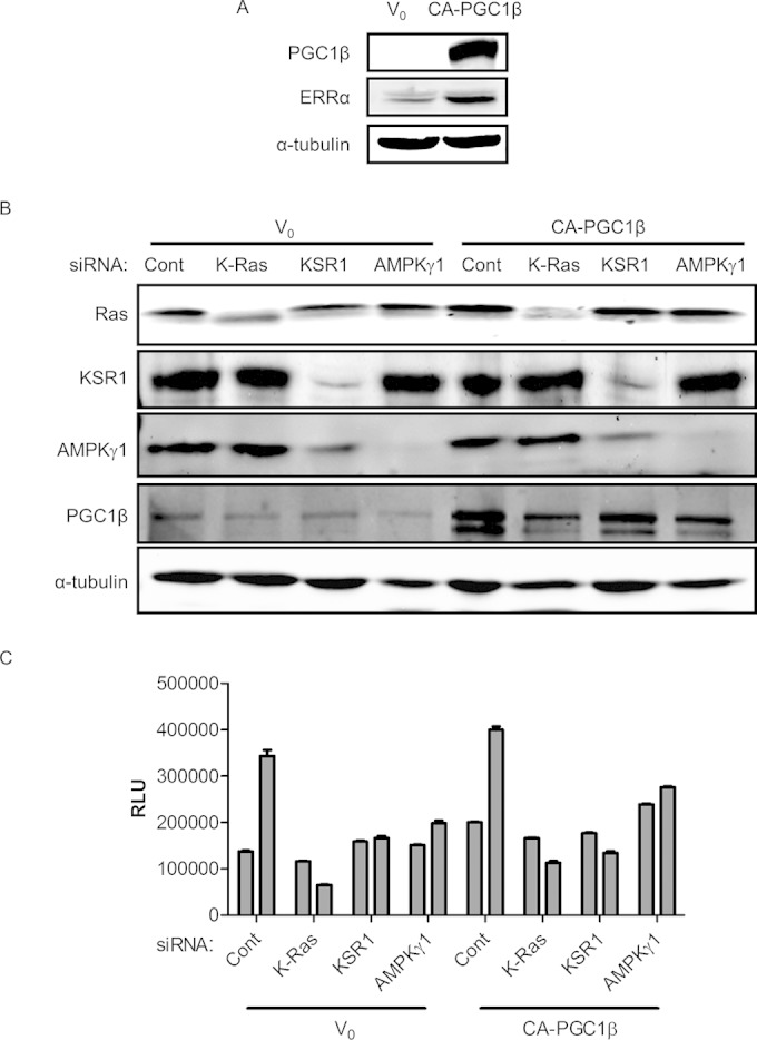 FIG 9