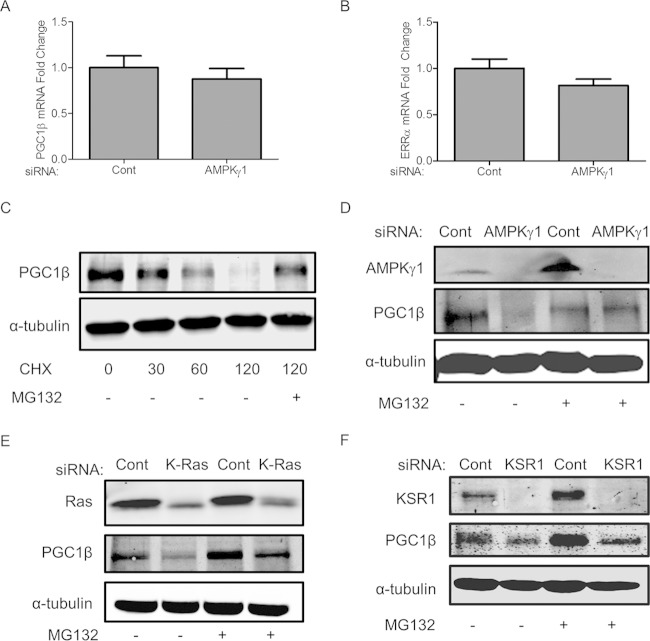 FIG 10